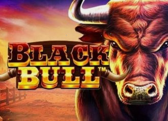 Игра Black Bull